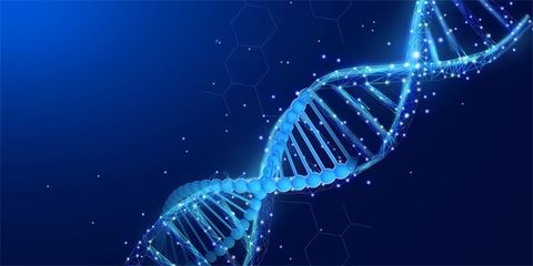 微生物DNA的悄然讀取 生物技術(shù)開(kāi)發(fā)中的細(xì)胞與微生物“偶遇”